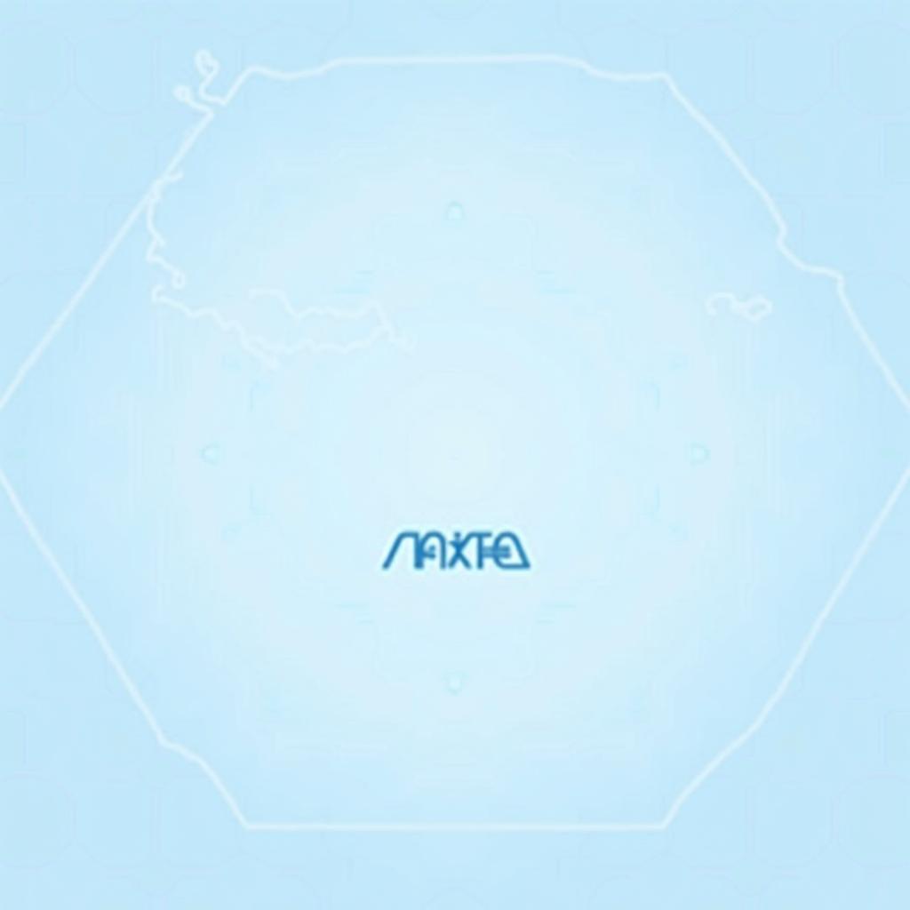 2025年全国大选提名日及投票日安排一览