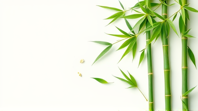 元旦如何为阳台竹棕美容？修剪经验分享