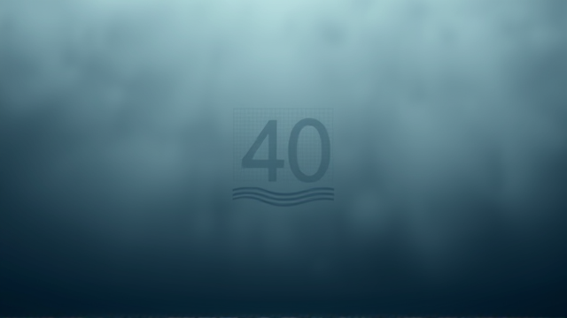 印度大壶节踩踏事件致40人死亡，政府展开调查