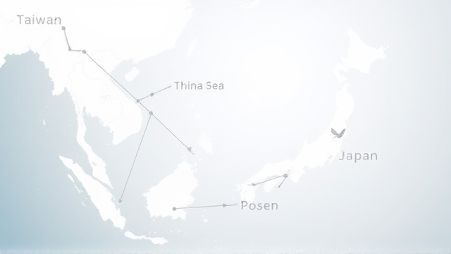 美日韩外长为何关注台海局势？联合声明揭秘