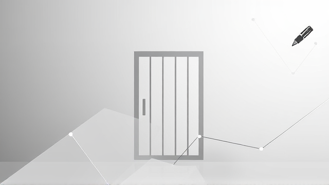 毛孟静刑满出狱后首发文：狱中无孤独无聊