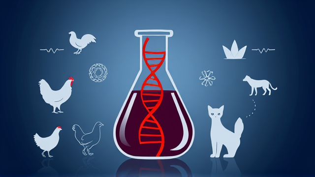 特朗普政府裁员：FDA禽流感应对团队受重创