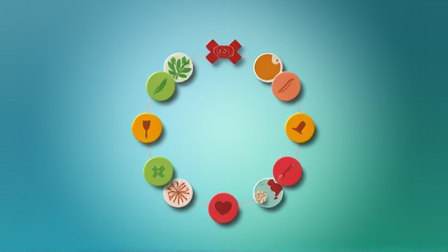 今日十二生肖运势解析与建议是什么？