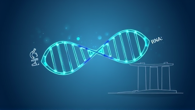 新加坡投入1.3亿推动RNA研究有何意义？