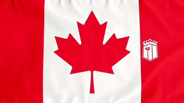 加拿大为何提前大选？卡尼应对特朗普威胁