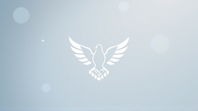 特朗普普京就乌克兰停火协议达成哪些共识？未谈成事项有哪些？