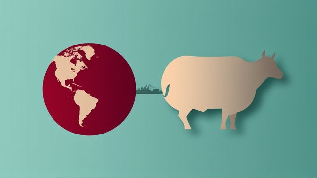 逾千家美肉品加工厂输华资质到期 冲击50亿美元贸易