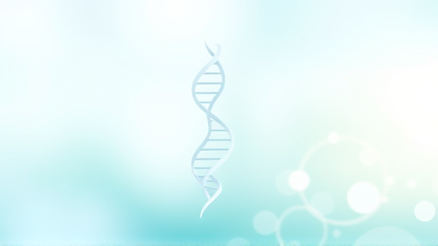 中国完成亚洲首例基因编辑猪肾移植！异种器官移植新突破