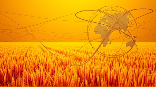 美媒聚焦贸易战双重冲击 农民群体成意外受损风向标