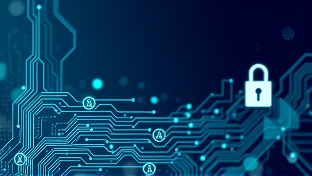 新加坡2024年诈骗损失激增70% 专家警示加密货币'致命陷阱'