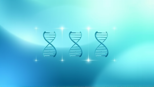 全国人大代表张齐建议加强青少年性教育阻断少子化趋势