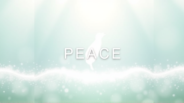 朱立伦批赖清德二二八讲话制造对立 强调总统应团结全民