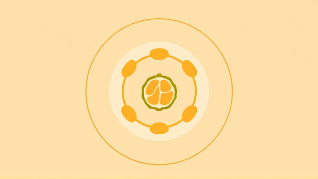 长者过度嗜睡如何有效引导？巧用榴莲计划看五个子女的暖心应对策略