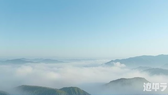 深度阅读偏好如何影响藏书选择：一件读者频频重复购书的背后